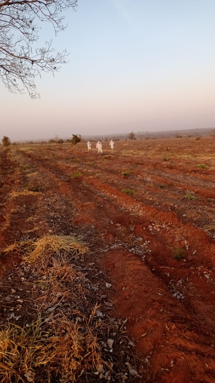 Além do desastre ambiental, incêndios florestais afetam seriamente a saúde da população
