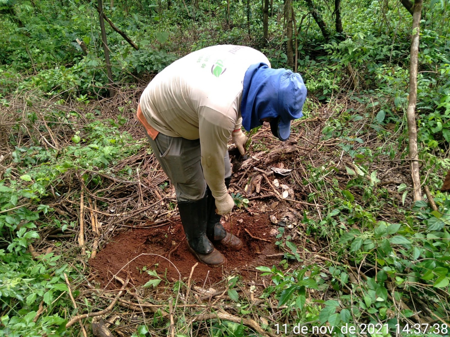 ATIVO VERDE DISPONIBILIZA MAIS DE 300 HECTARES PARA AQUISIÇÃO DE CRÉDITOS PARA CUMPRIMENTO DE OBRIGAÇÕES AMBIENTAIS