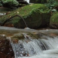 Os biomas brasileiros: o cultivo e a preservação do meio ambiente