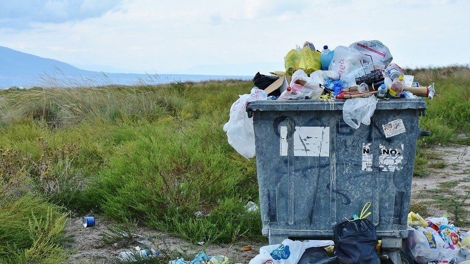 Conheça as medidas de prevenção, mitigação e remediação ambiental