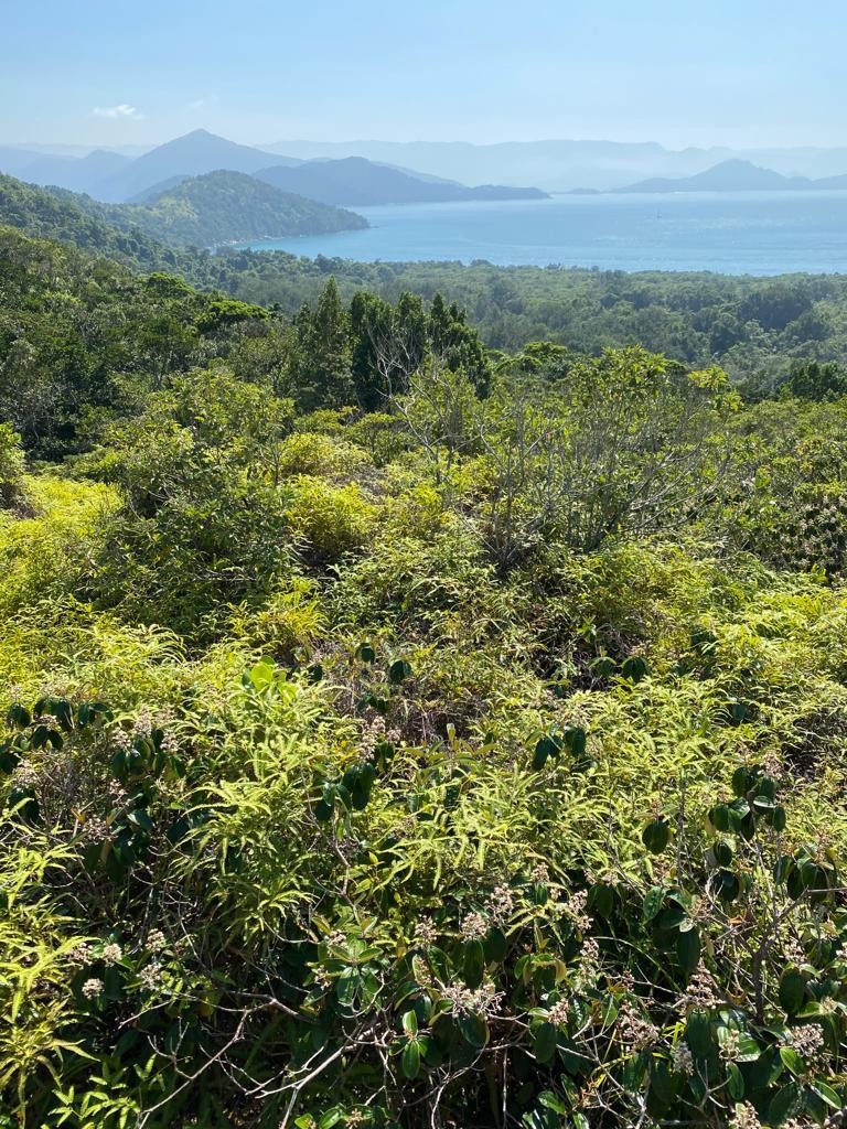 Projeto Plantverd - Parque Estadual Ilha Anchieta - ATIVO VERDE