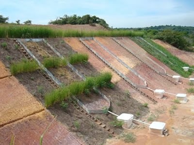 Elaboração de Projetos RAD's (Recuperação de Áreas Degradadas), acompanhamento e implantação